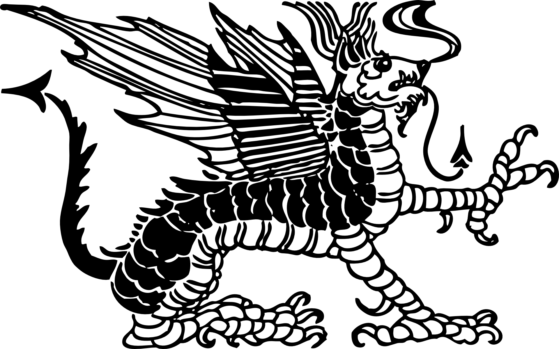 dragon-35474 dragon-35474